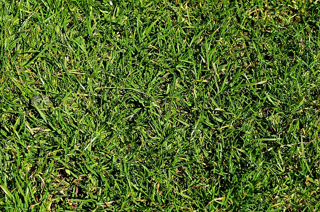 主动拥抱